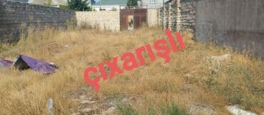 3 sot, Tikinti, Mülkiyyətçi, Kupça (Çıxarış)