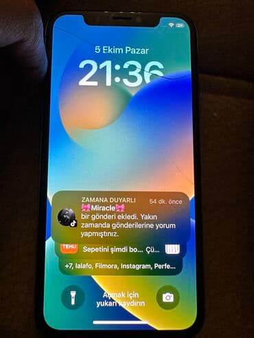 iphone x pro: IPhone X, 256 GB — 6