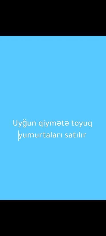 bahalı saat: Uyğun qiymətə toyuq yumurtaları satılır. - Təbii qidalandırılmış — 3