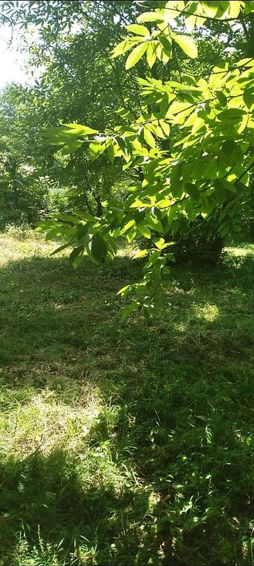 cicek qesebesinde torpaq: Tikinti — 2