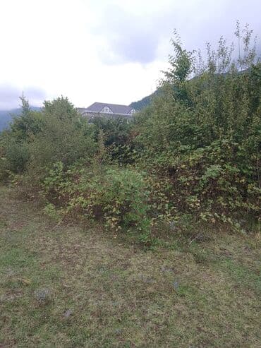 İsmayıllı rayonu, Qalacıq kəndində, 6 sot torpaq satılır.Dağətəyi