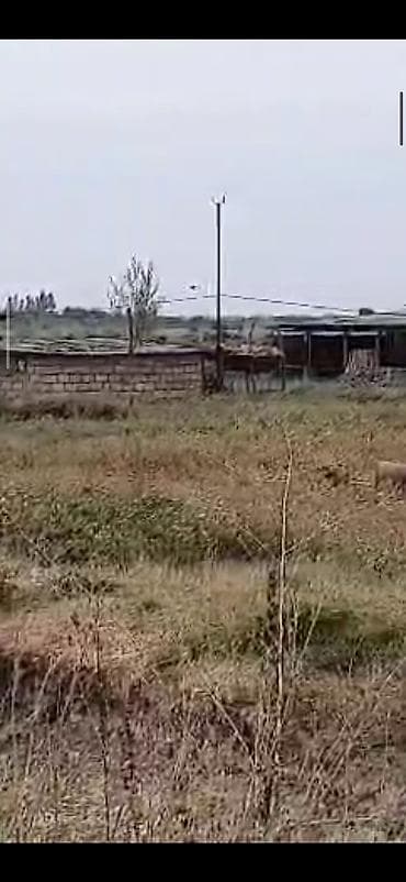 Metal fermalar: Ferma və təsərrüfat kompleksi - Heyvandarlıq üçün tikililər: uzun — 4