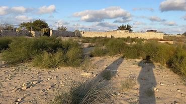 32 sot, Tikinti, Mülkiyyətçi, Kupça (Çıxarış)