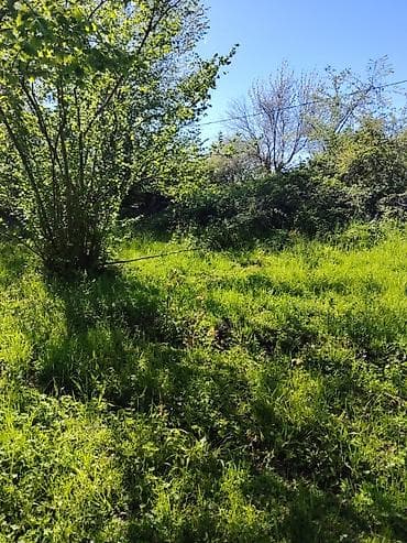 oguzda ev alqi satqisi: 20 sot, Tikinti, Mülkiyyətçi, Kupça (Çıxarış) — 7