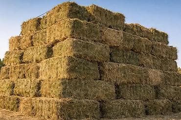 Məhsul: Preslənmiş quru ot (saman/yonca qarışığı deyil; klassik