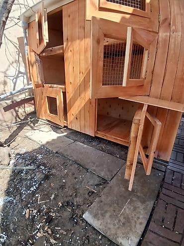 ekran ucun pisik sekilleri: Taxta quşxana / toyuq damı matryal sizden duzeltmey bizden zehmet haki — 3