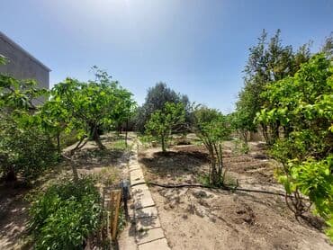 tap az bag evleri pirsagida: Bakı, 150 kv. m, 7 otaqlı, İnternet, Telefon, İşıq — 6