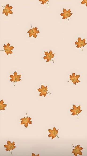 Mühasiblər: Ofis menecer, katib, 22 il, 1-2 illik təcrübə, 5/2 — 1