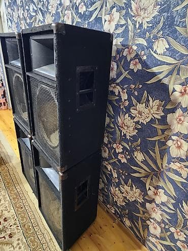 Mikrofonlar: - Hər modulda: 1 ədəd iri diametrli aşağı tezlikli dinamik (təxminən — 2