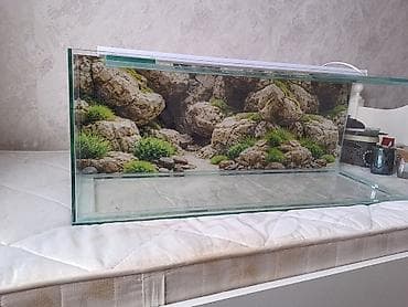 yumru akvariumlar: Dördbucaq akvarium, Boş, 160 l, Pulsuz çatdırılma — 4