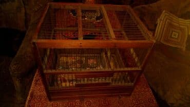 xamyak qefes: İstifadə olunmuş qəfəs. Yaxşı vəziyyətdə 15 manat. Xəzi Aslanovu — 1