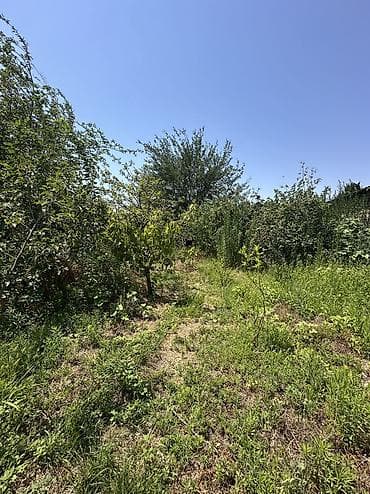 4 göz satışı: 5 sot, Tikinti, Mülkiyyətçi, Kupça (Çıxarış), Texniki pasport — 5
