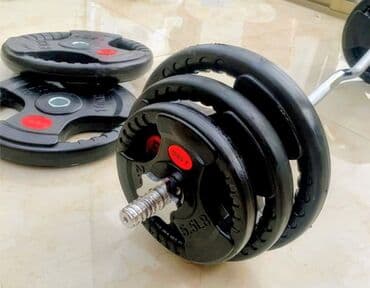 fizika 7 ci sinif metodik vəsait pdf: Ştanq diski, Çəki: 25 kq, Yeni — 1