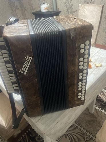 bayan akkordeon: Akustik Akkordeon — 1