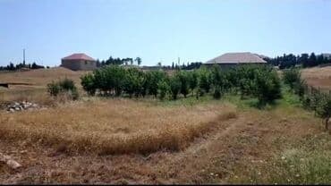 kiraye evlerin kreditle satisi: 12 sot, Tikinti, Mülkiyyətçi, Kupça (Çıxarış) — 6