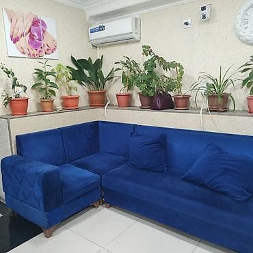 vilur parca turkce: Divan 200 man — 4