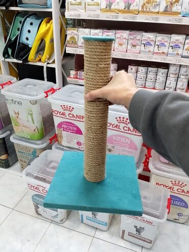 домик для кошек: Zoo mallar — 8