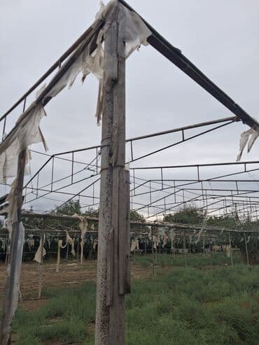 su sızıntısını aşkarlayan dedektör: 15 sotun istixana dəmirləri satilir — 2