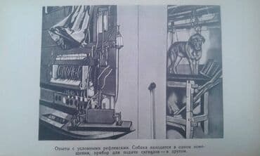 преступление и наказание: Продаются разные книги о знаменитых личностях: "Иван Павлов" 1952 год — 9