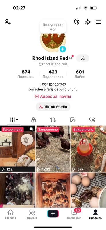 yumurta hinduşka: 100% mayali yumurtalar Rhod Island Red toyuqlar. Bu cins toyuqlar həm — 8