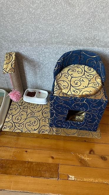 pulsuz pisiy: Britan, Erkək, Ünvandan götürmə — 5