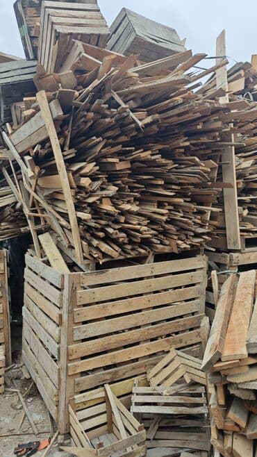 Qaz balonları: Odun kamazı 100 — 5