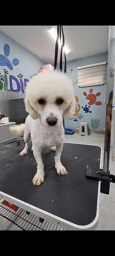 Красота и здоровье: Барберы | Другой вид услуги — 3