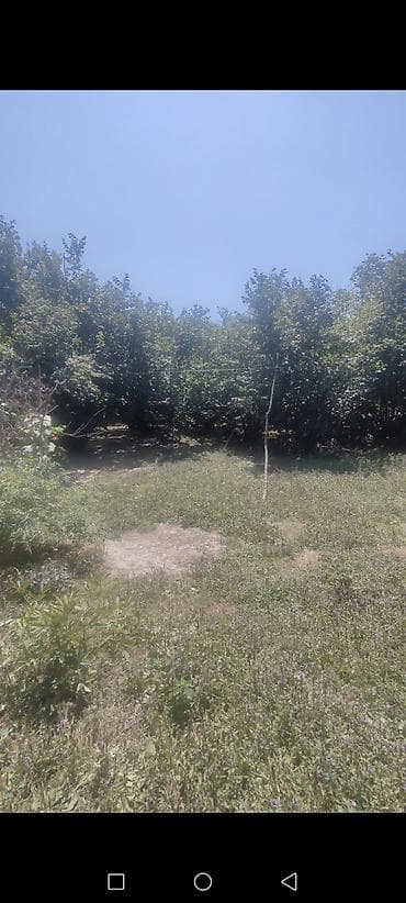xacmazda torpaq satışı: 11 sot, Tikinti, Barter mümkündür, Kupça (Çıxarış) — 8