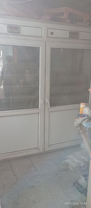 Inkubator. 1250 yumurtalıq. işlək vəziyyətdə. avtomatik fırlanma