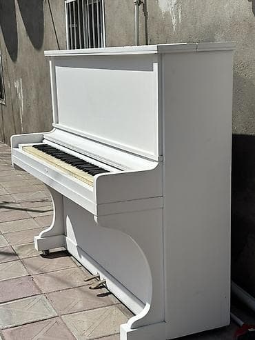 studiya mikrafonu: Ağ rəngli akustik upright pianino - Klassik vertikal korpus, sadə və — 10