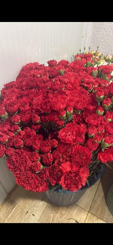 Qerenfil gul satisi .en az 100 eded satilir 0.50 qep