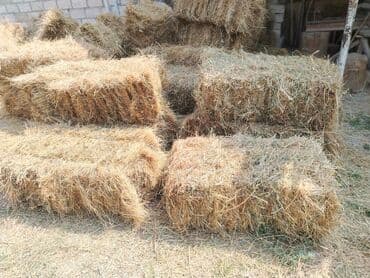 inək südsağan aparat: Məhsul: Bağlamalı quru ot (yonca qarışığı) Təsvir: - Düzbucaqlı pres — 1