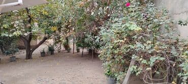 xacmazda dasinmaz əmlak: 2 otaqlı, 70 kv. m, Kredit yoxdur, Orta təmir — 9