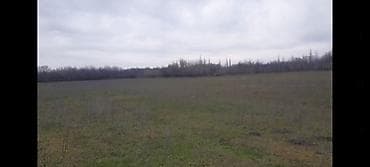 genclik kiraye evler: Kənd təsərrüfatı — 8