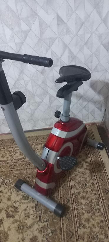 Digər idman və istirahət malları: Maqnitik velotrenajor - Rəng: qırmızı/gümüşü korpus - Maqnitik — 5