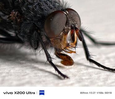 ucuz telfon: Vivo X200 Pro, 256 GB, rəng - Qırmızı — 6