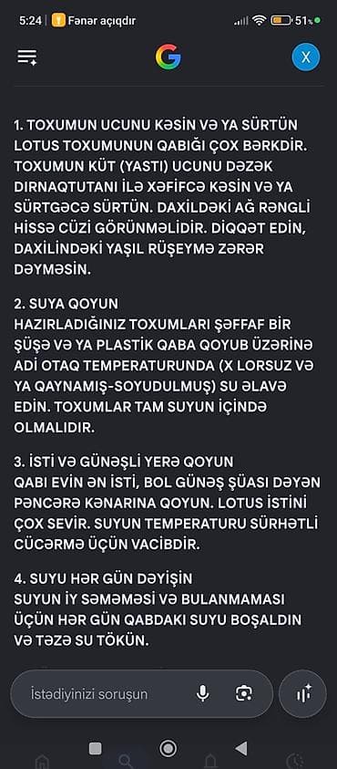 декор дерево: Məhsul: Təbii lotus toxumları (evdə asan cücərən) Xüsusiyyətlər: - — 3