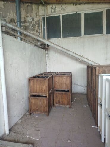 gül toxumları satışı: Sifariş qəbul olunur — 6