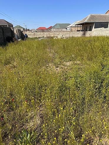 samaxida torpaq: 6 sot — 3