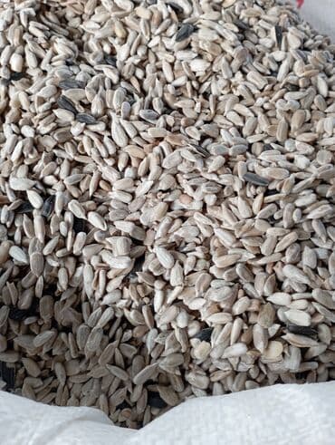 İçkilər: Məhsul: Günəbaxan tumu ləpəsi (qabıqsız) Təsvir: - Təmizlənmiş — 4