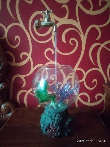 cuce ucun su qabi: Yumru akvarium, 5 l — 5