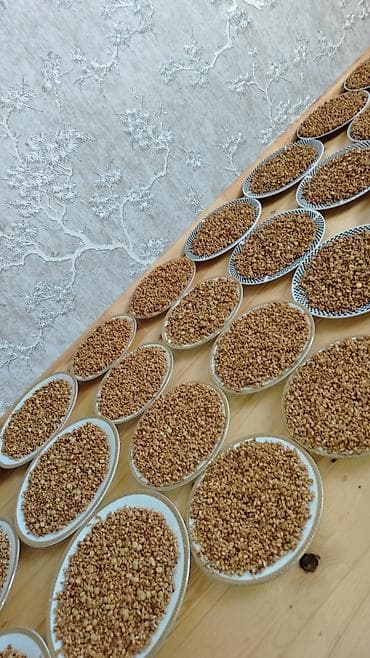 yeni il dekorları: Novruz bayramı üçün səməni — 1