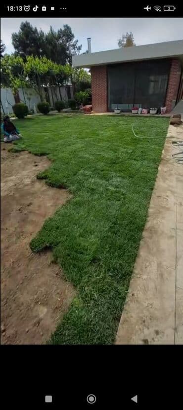 ağ dırnaq modelleri: Landşaft dizayin ummi abadliq qazon agaclar gul ciceklerlə bağlarin — 9