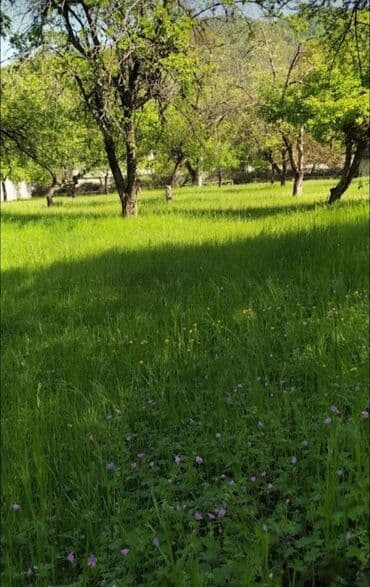 xacmazda torpaq: 48 соток, Для строительства, Собственник, Бялядия (муниципалитет) — 1