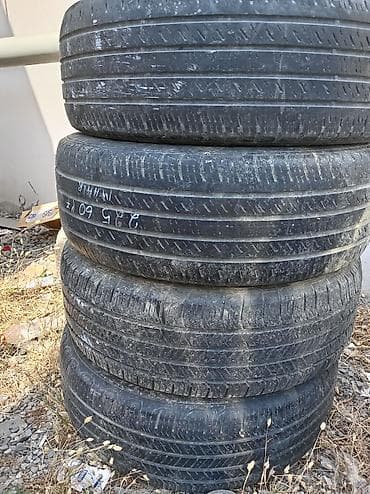 Avtomobil şinləri 225.60.17
