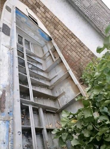 ayaq dirnaq rengleri: Amur tipli qayiq (lotka") real alıclar zeng vurub əlaqə saxlaya bilə — 4