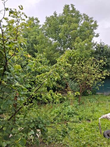 biləcəri kirayə evlər 2024: Təcili Qəbələ rayonu Nohurqişlaq kəndi Nohur gölü ilə üz üzə 6 sot dağ — 3