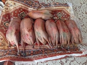 дистиллированная вода баку: Qaşqaldağ Bilənlər bilir necə dadlı olur Cəkisi gəlir 500 qram 600 — 6