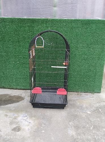 Heyvanlar üçün mallar: Quş qəfəsi – hündür tağlı model - Rəng: qara metal karkas, plastik — 1