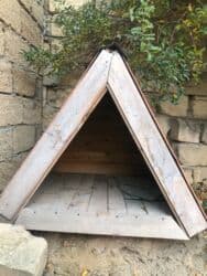 Yemlər: Satılır ciddi alcılar yazsın — 2